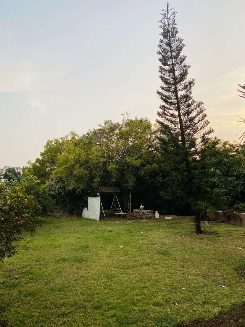 Service ExportedImage