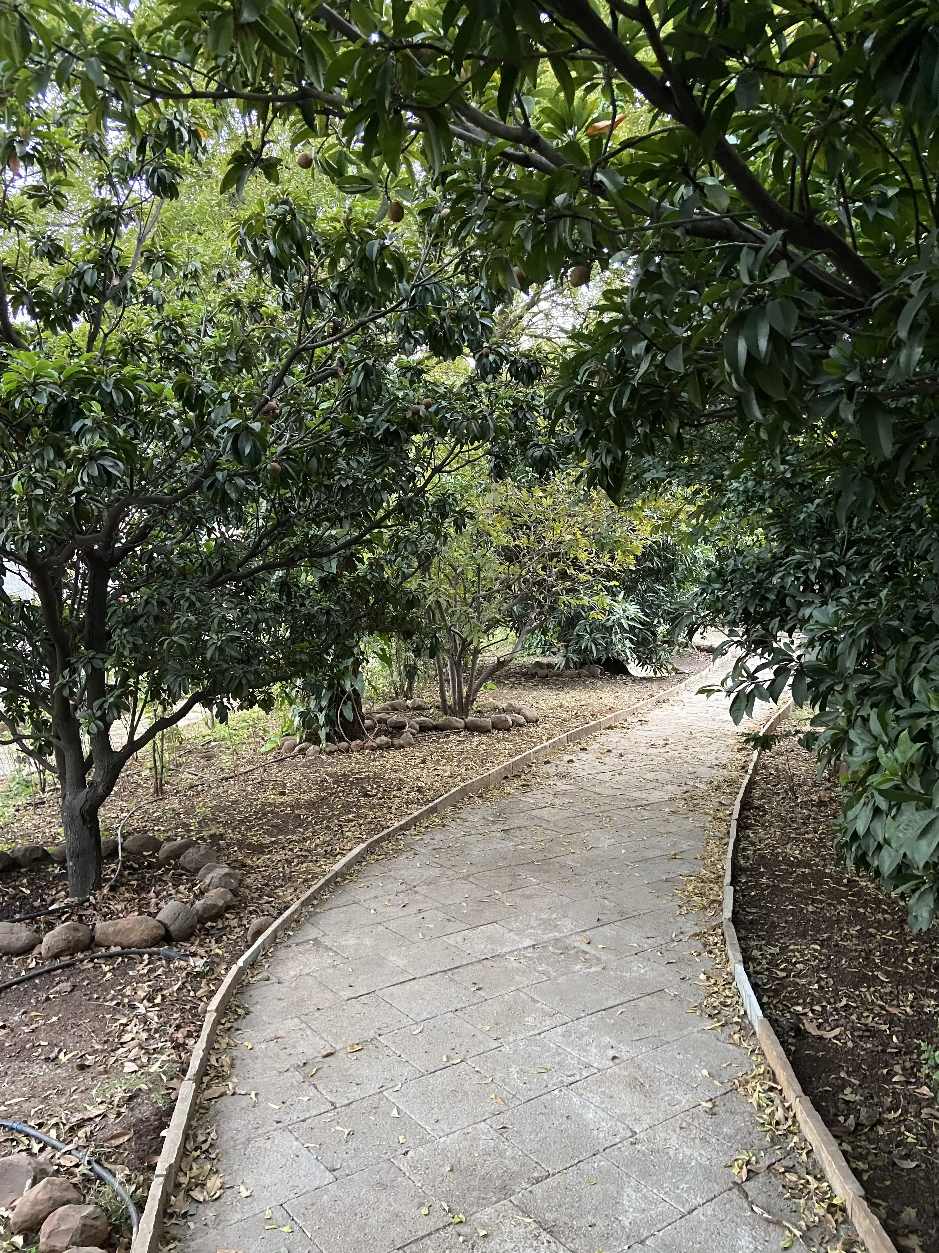 Service ExportedImage